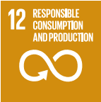 SDG 12